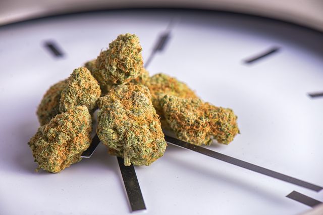 A photo of marijuana on top of a clock that says it's 4:20